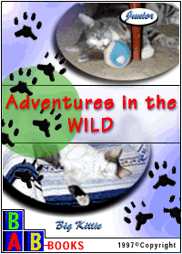 Big Kitty and Junior: Adventures in the Wild